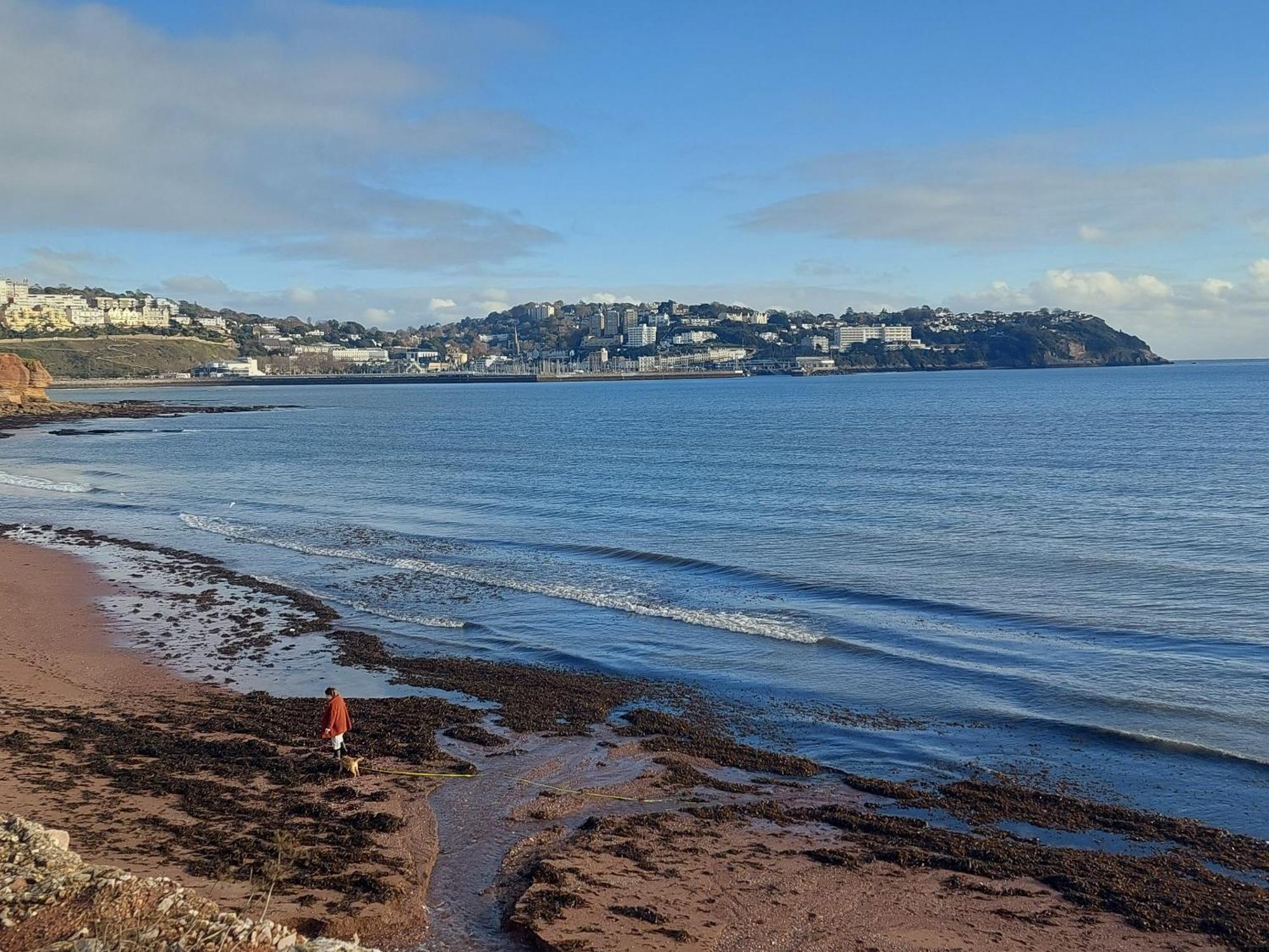 The Seaview Suites At The Corbyn Apartments Torquay Rum bild
